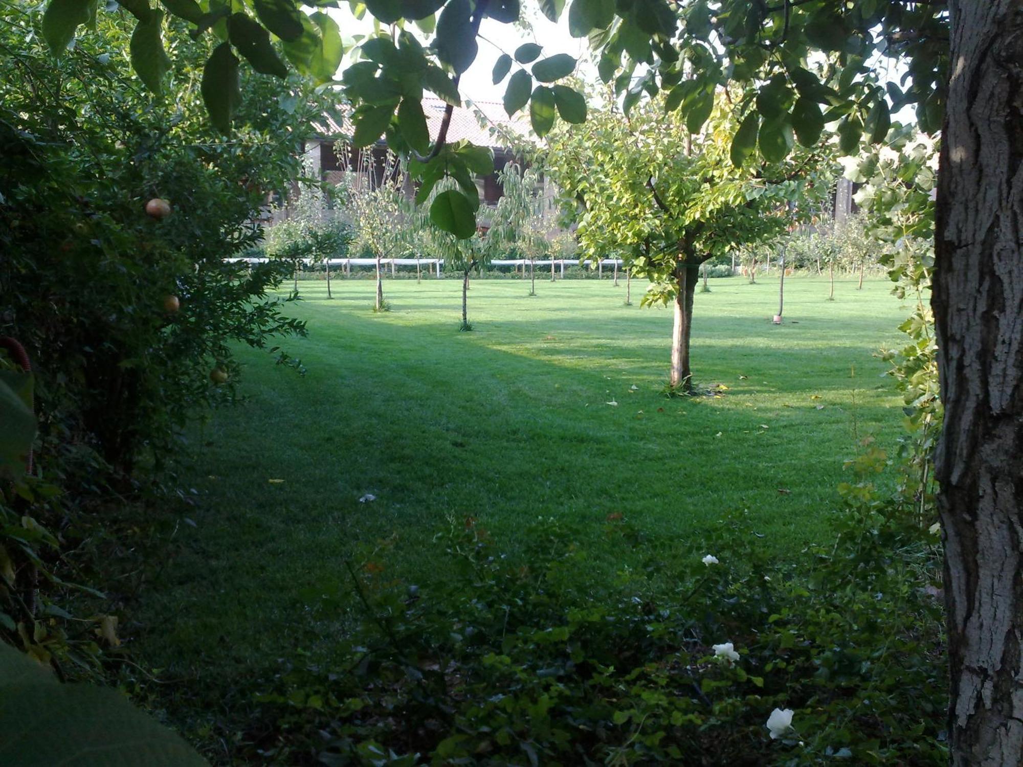 Relais Corte Guastalla Apartments Sona Εξωτερικό φωτογραφία